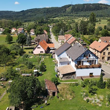 Le Nid De Cigognes Otel Hengwiller Dış mekan fotoğraf