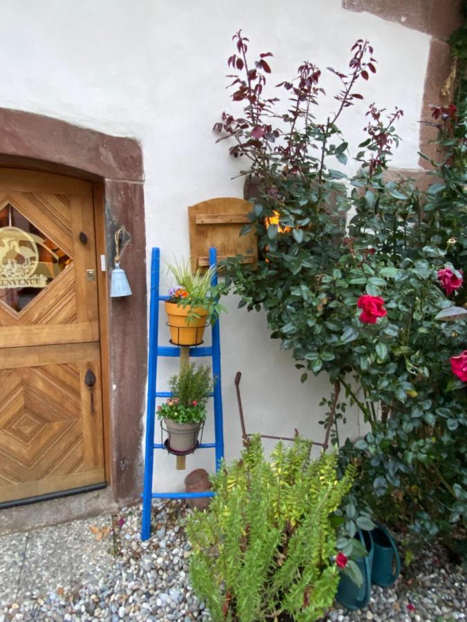 Le Nid De Cigognes Otel Hengwiller Dış mekan fotoğraf