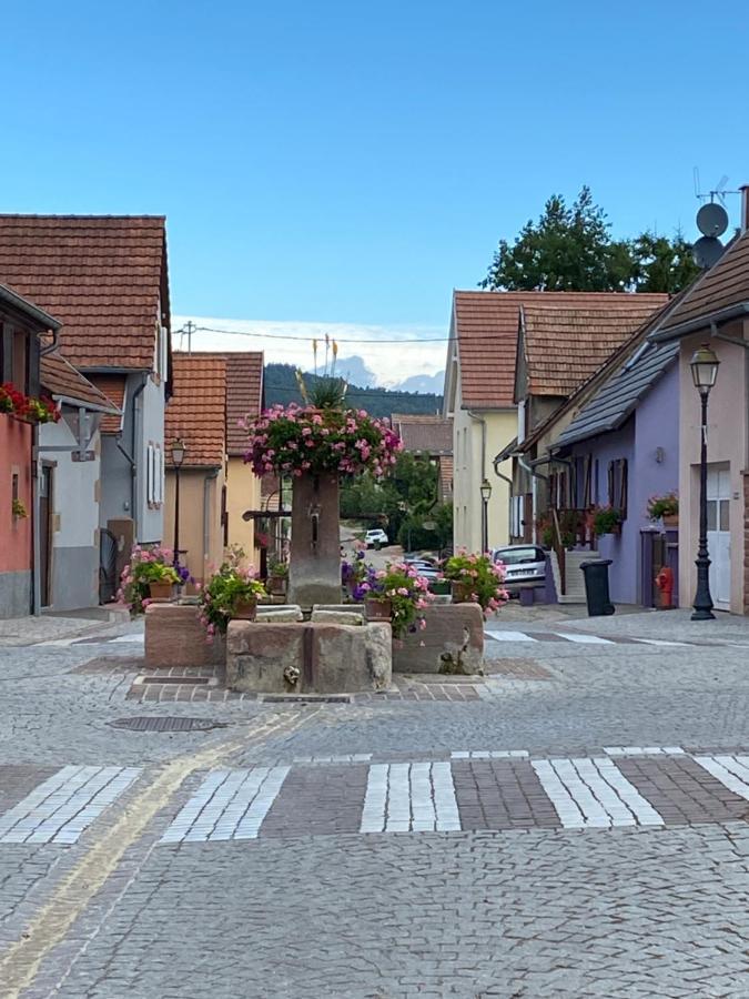 Le Nid De Cigognes Otel Hengwiller Dış mekan fotoğraf
