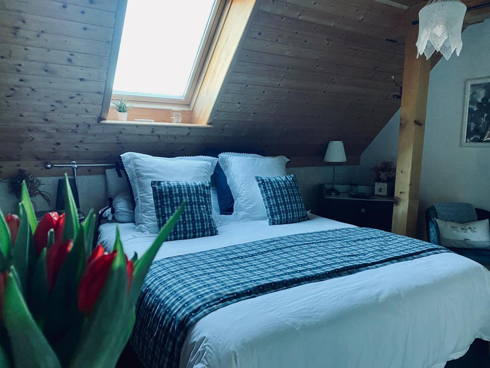 Le Nid De Cigognes Otel Hengwiller Dış mekan fotoğraf